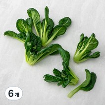 국내산 비타민, 70g, 6개