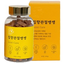 댕이수랏간 침향관절쌩쌩 강아지 관절영양제 100g, 관절쌩쌩, 1개