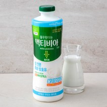 풀무원다논 액티비아 화이트 플레인 요구르트, 700ml, 1개
