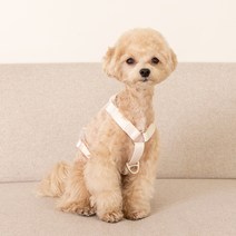 요기쏘 강아지 마이독 앞섬방지 H형 하네스, 크림