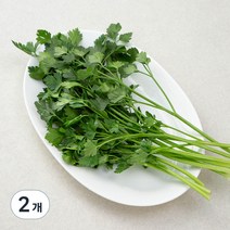국내산 이탈리안 파슬리, 30g, 2개