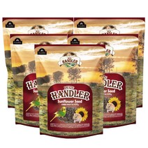 펫츠핸들러 앵무새 영양모이 해바리기씨, 400g, 5개