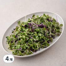 국내산 친환경 어린잎 채소믹스, 200g, 4개