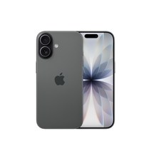 Apple 아이폰 17 자급제