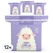 소프트메이트 프리미엄 건티슈, 160매, 12팩