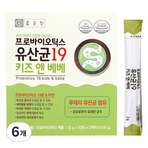 종근당 프로바이오틱스 유산균 19 키즈 앤 베베, 6개, 60g