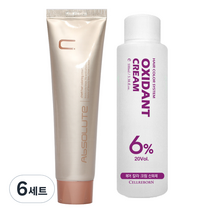 에비뉴쉬에뜨 앱솔루트 컬러링 크림 염색제 120g + 산화제 100ml, 8OR 밝은오렌지, 6세트