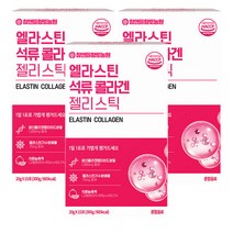 참앤들황토농원 먹는 엘라스틴 석류콜라겐젤리, 300g, 3개