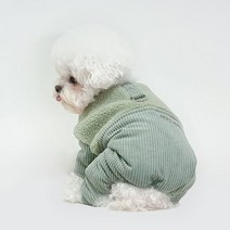 펫츠랜드 반려동물 로이 패딩 올인원, 민트