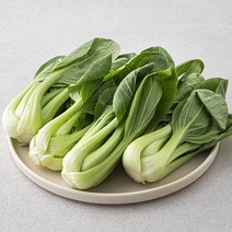 국내산 청경채