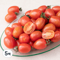 곰곰 친환경 대추방울 토마토, 500g, 5팩