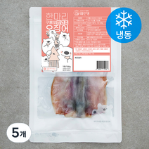 해선생 한마리 구룡포 반건조 오징어 (냉동), 130g, 5개