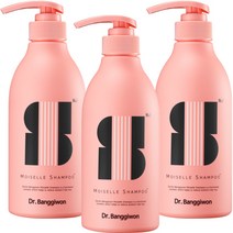 닥터방기원 모아젤샴푸 플로럴 머스크, 500ml, 3개