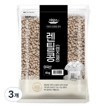 더담은 미국산 렌틸콩 렌즈콩, 4kg, 3개