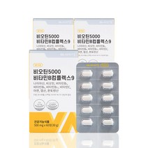 비타민마을 비오틴5000 비타민B컴플렉스9 60정 x 2박스(4개월분), 단품, 단품