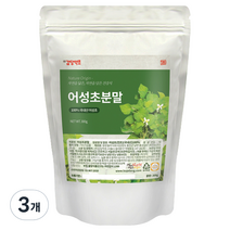 갑당약초 어성초분말, 3개, 300g