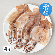 손질 오징어 (냉동), 600g, 4개
