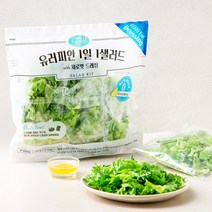 팜에이트 유러피안 1일 1샐러드 with 제로팻 드레싱, 240g, 1개
