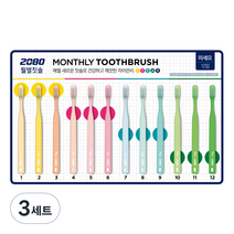 2080 미세모 월별칫솔 Season2, 12개입, 3세트
