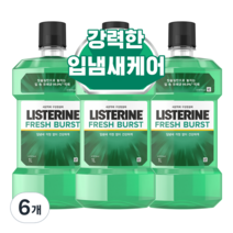 리스테린 후레쉬 버스트 구강청결제, 1L, 6개