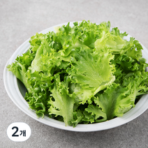 팜에이트 무농약 인증 프릴아이스 샐러드, 350g, 2개