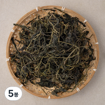 국내산 건취나물, 100g, 5개