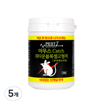 페스트7 마우스 캐치 쥐타운 블록젬 고형제 100g, 1개입, 5개