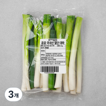 곰곰 국내산 절단대파, 1kg, 3개