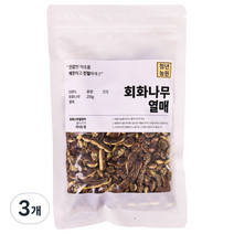 청년농원 회화 나무 열매, 3개, 250g