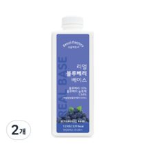 서울팩토리 리얼 블루베리 베이스, 2개, 1.2kg