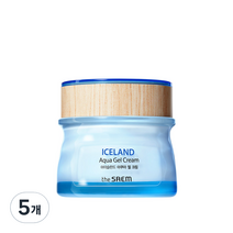 더샘 아이슬란드 아쿠아 젤 크림, 60ml, 5개