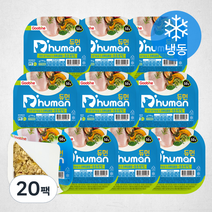 듀먼 강아지 닭가슴살 & 초록입홍합 튼튼관절 화식 용기형 10팩 (냉동), 닭, 50g, 20팩
