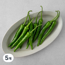 국내산 풋고추, 150g, 5개