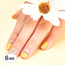 넬로 팔레트 젤 네일 스티커, 샤인데이지, 6세트
