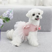 리토가토 강아지 튜튜 프릴 하네스, 핑크