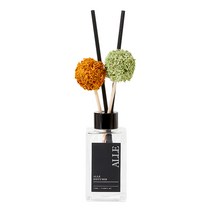 알레 스칸디아모스 디퓨저 110ml + 미니 모스스틱 랜덤발송 2p 세트, 블랙체리