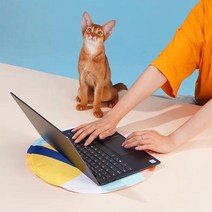 개님의상점 반려동물 모던 아이스 쿨패드, 앱스트랙스