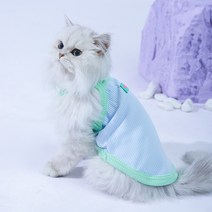파스텔펫 반려동물 웰컴 라인 민소매 티셔츠, 블루