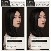 나드 아르간 에센스 새치 염색제, 흑갈색, 2개