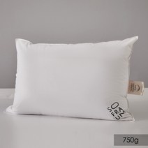 소프라움 국민구스 프라우덴 30 항균 베개 750g, 화이트, 1개