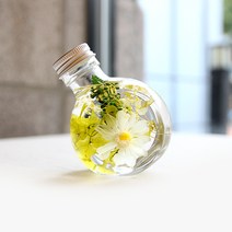 더봄 하바리움 프리저브드플라워 무드등, 지니아(화이트)
