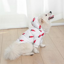 요기쏘 반려동물 당근 패딩, 혼합색상