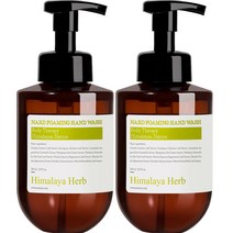 부케가르니 나드 포밍 핸드워시 레몬민트, 500ml, 2개