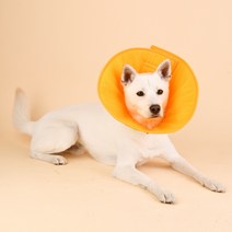 올치 강아지 초경량 디어 방수 넥카라 크림 L