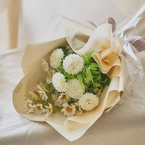 아스파시아 보고싶은마음 성묘 산소 꽃다발, 크림