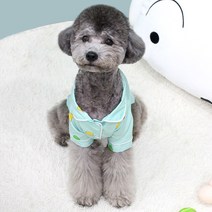 닥터블랭크 반려동물 블랭크도그 짱구 흰둥이 캐릭터 셔츠, MINT