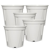 모리앤 슬릿화분 5p, 화이트