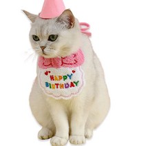 강아지 고양이 생일 축하 기념 스카프 + 모자 세트, 핑크, 1세트