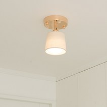 히트조명 페리 직부등 E30276WH, 화이트, 1개