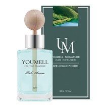 유멜 시그니처 카 디퓨저 80ml, 1개, 아쿠아그린티